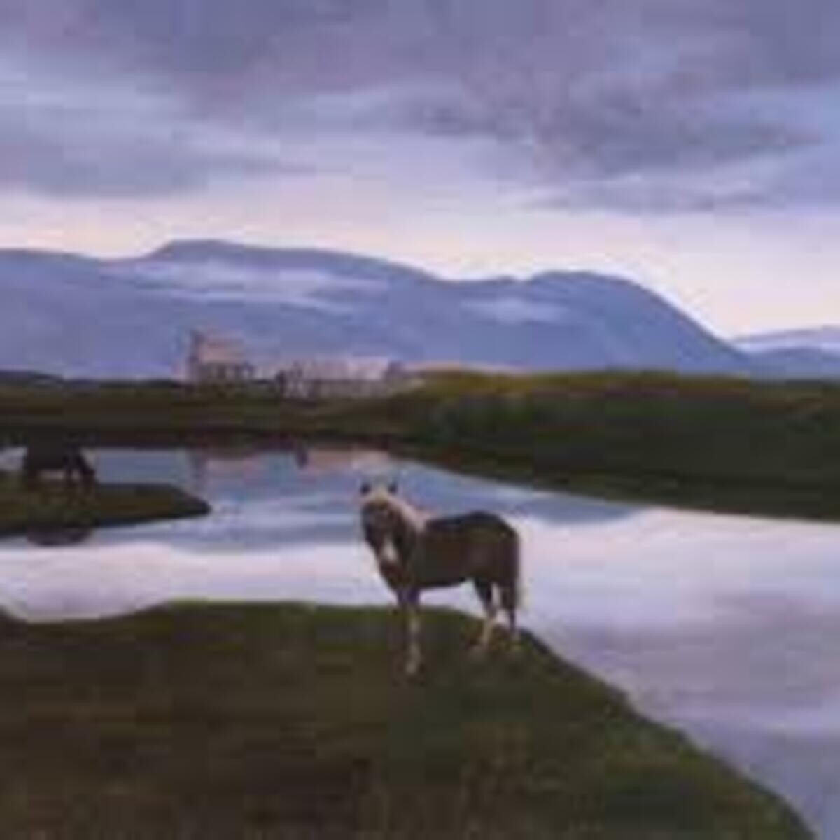 Sveinbjörnsson Celebration